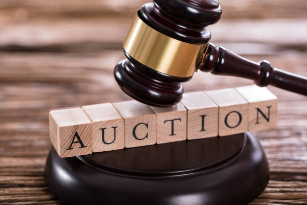 Player Auction